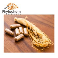 Wild and Fresh Organic Panax Ginseng Root/Red Ginseng Root